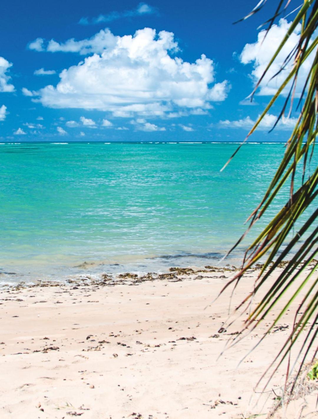 Suites Ventos E Velas Praia Порту-ди-Педрас Экстерьер фото